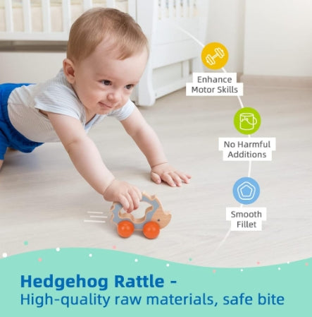 Tookyland 22pcs Montessori Educational Toy Box Play Kit Set for Infant 7-12 months