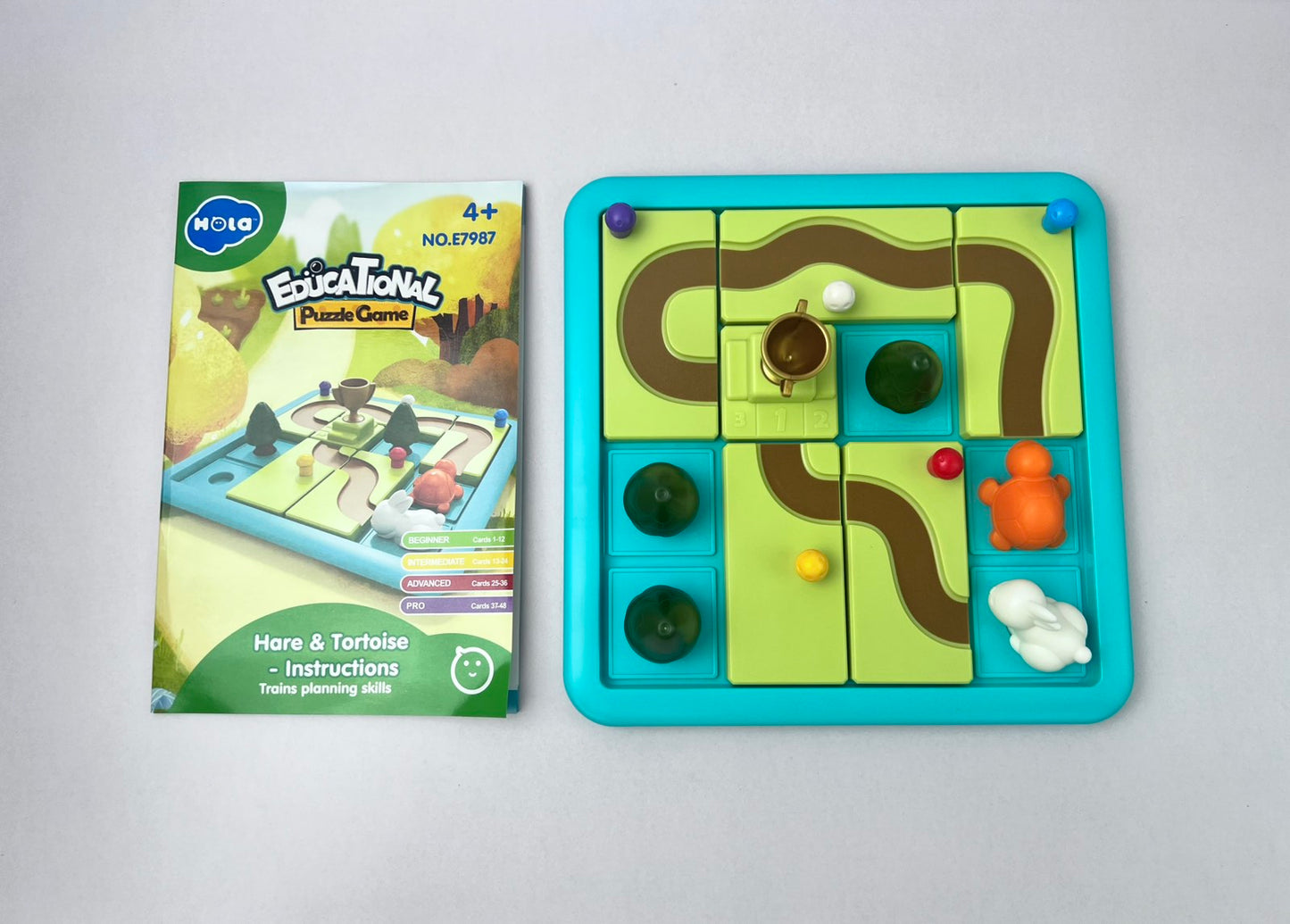 Hare and Tortoise Game Educational Puzzle Game
