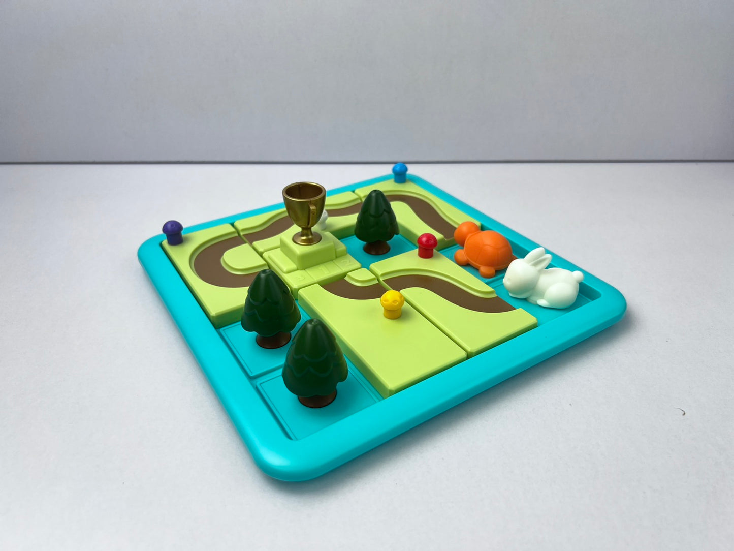 Hare and Tortoise Game Educational Puzzle Game