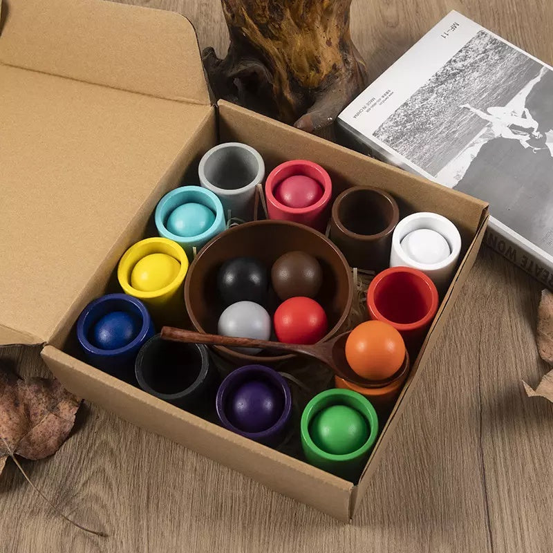 Wooden Color Sorting Balls in Cups