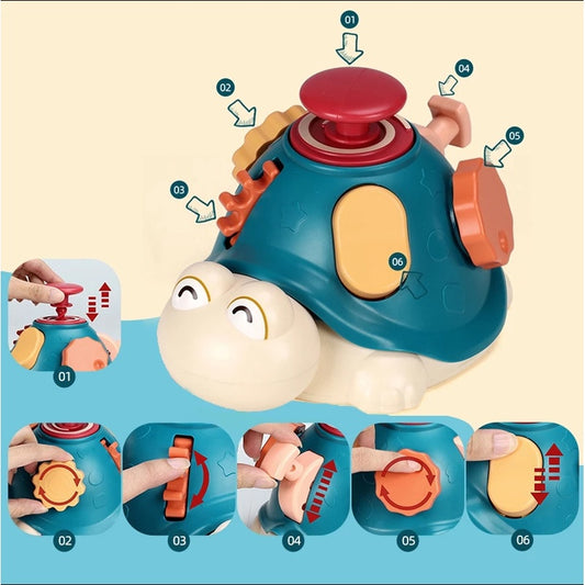 Turtle Learning Sensory Activity Toy