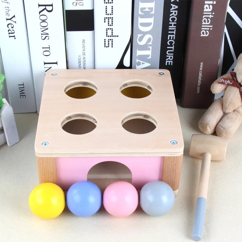 Wooden Pastel Punch and Drop Toy Set