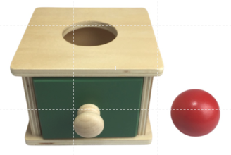 Wooden Ball Box Object Permanence Educational Toy