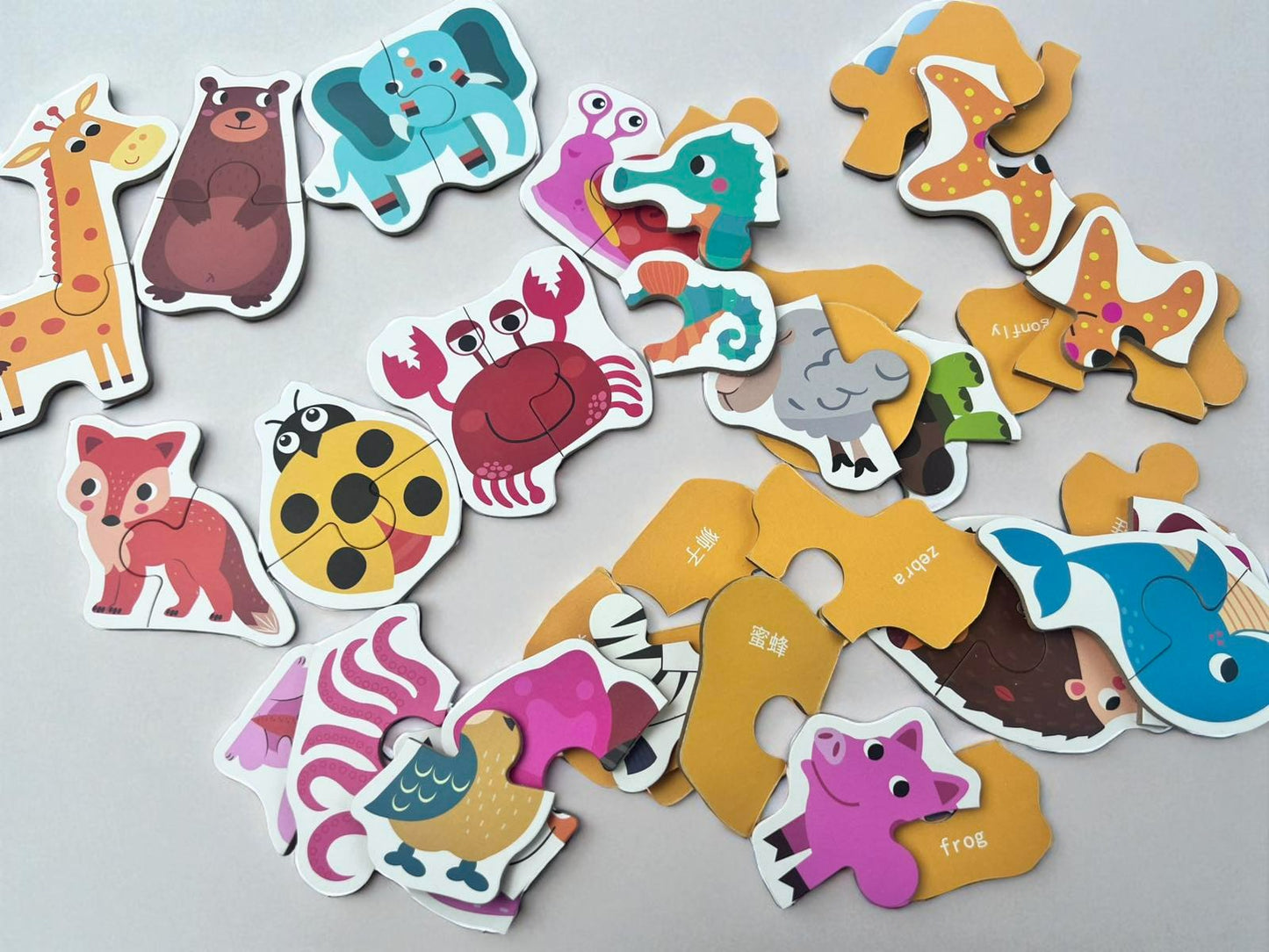 24 Pcs Animal Puzzle Box Set