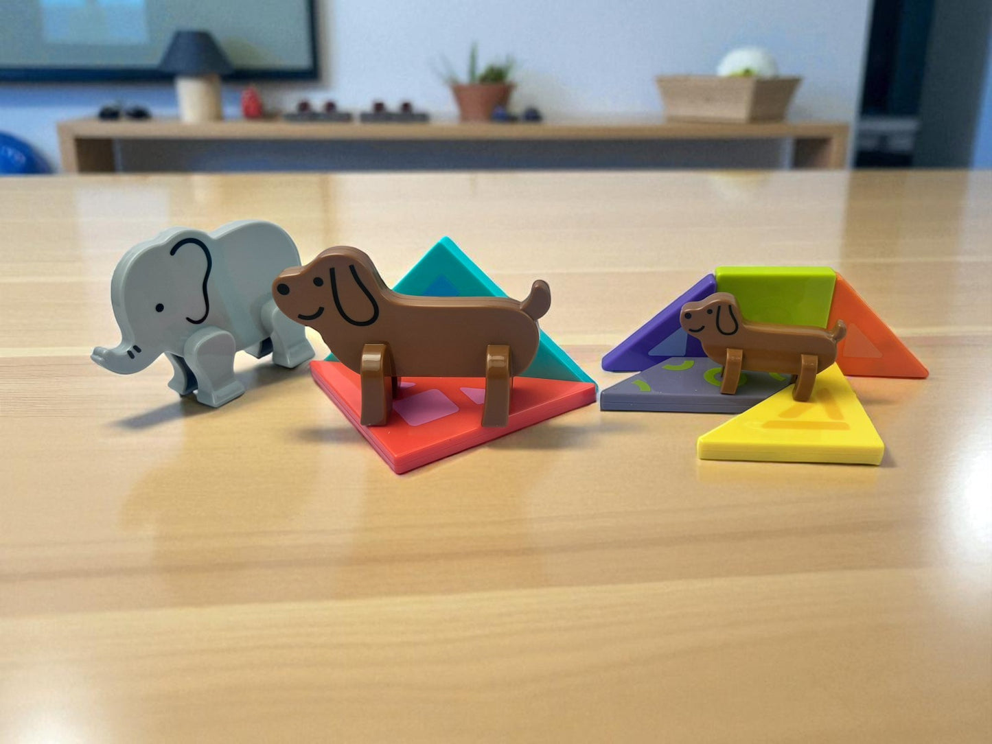 Magnetic Animal Tangram Game, Educational Puzzle Game