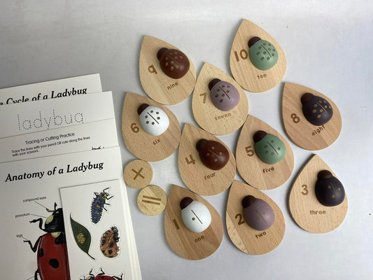 Wooden Lady Bug Study Number Counting Toy